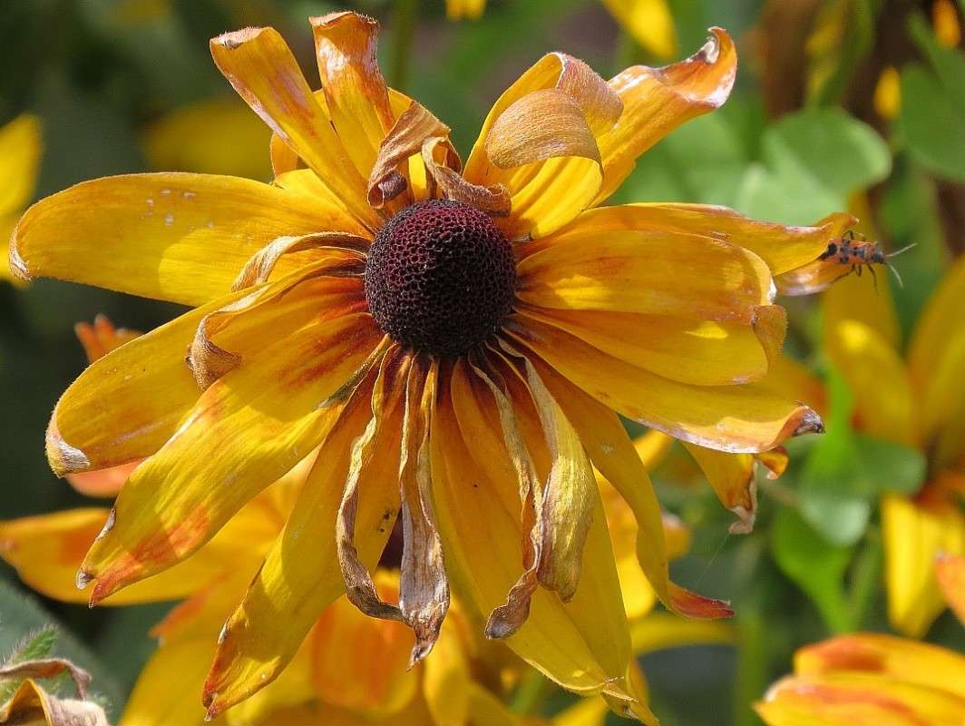 ... ����� Natali  ��������� �� PhotoGeek.ru #����� ��������������