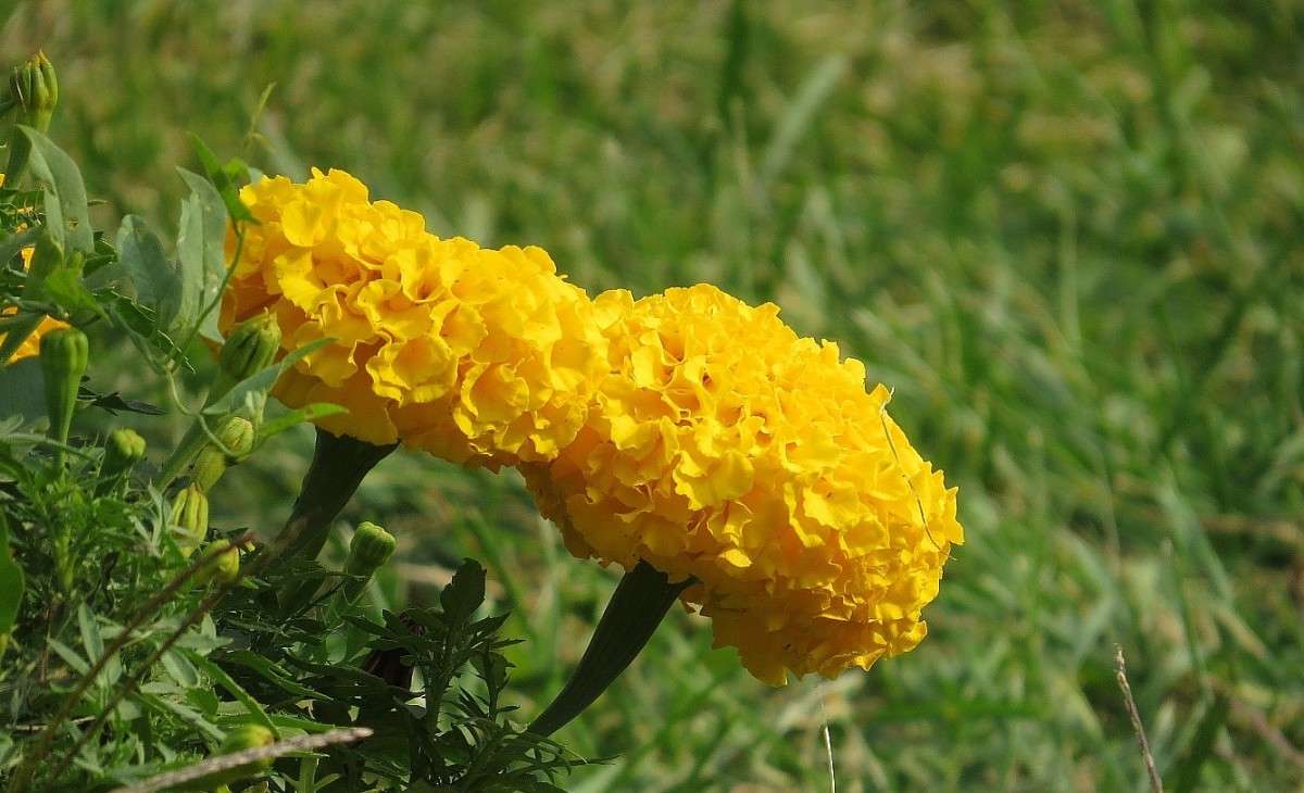 ... ����� Natali  ��������� �� PhotoGeek.ru #����� ��������������