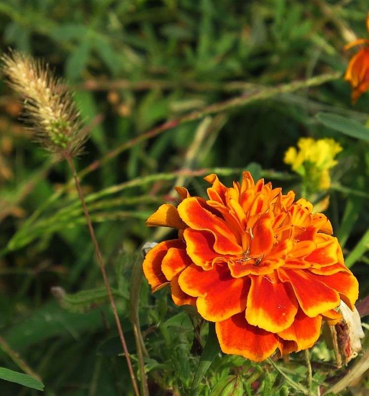 ... ����� Natali  ��������� �� PhotoGeek.ru #����� ��������������