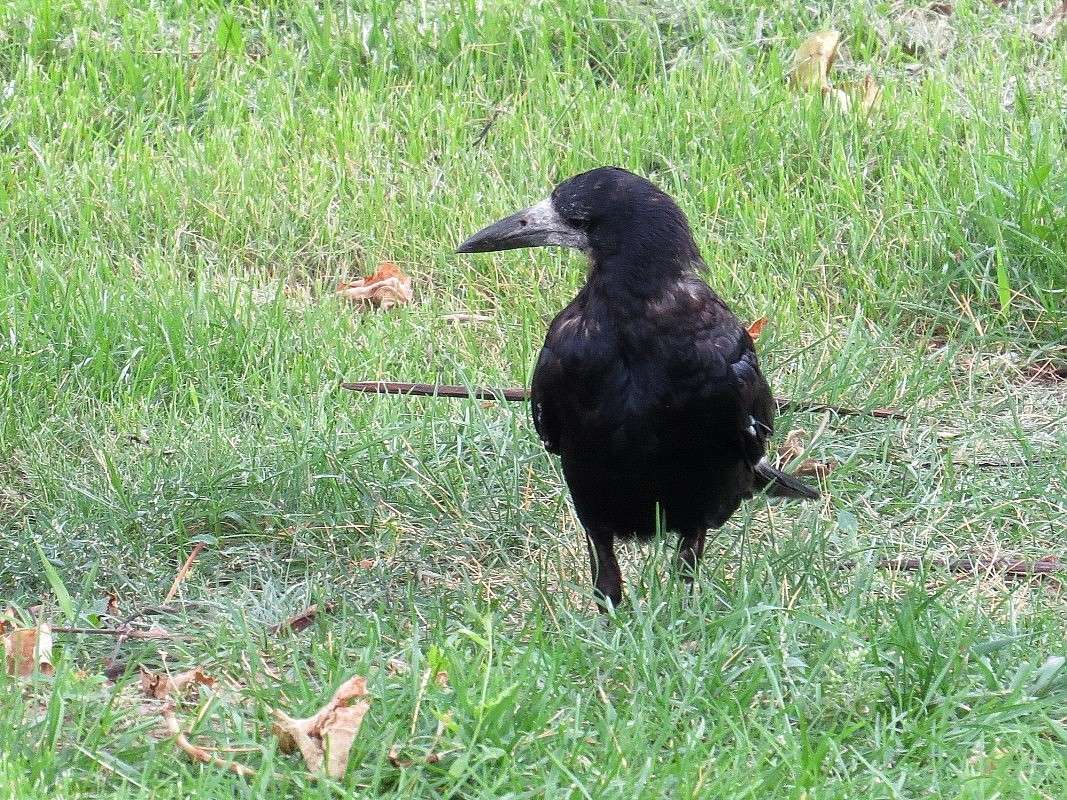 ��, � ���� ... ����� Natali  ��������� �� PhotoGeek.ru #�������� ��� #����� ��� ��� ���������