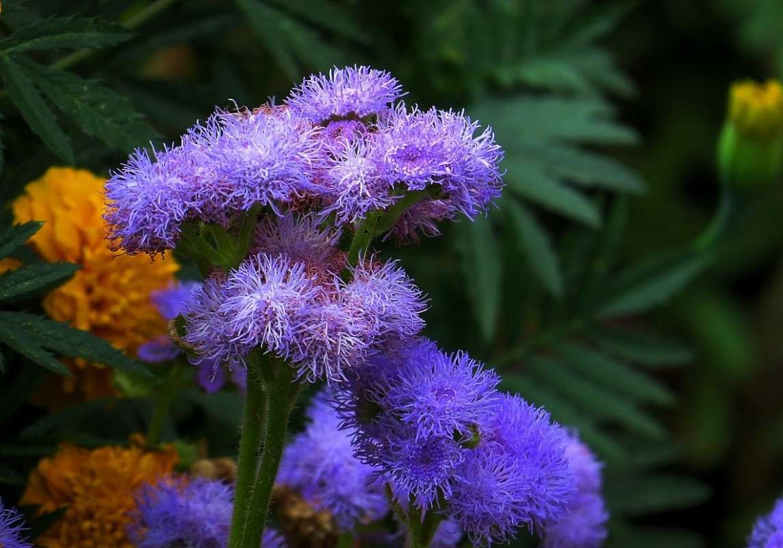 ... ����� Natali  ��������� �� PhotoGeek.ru #����� ��������������