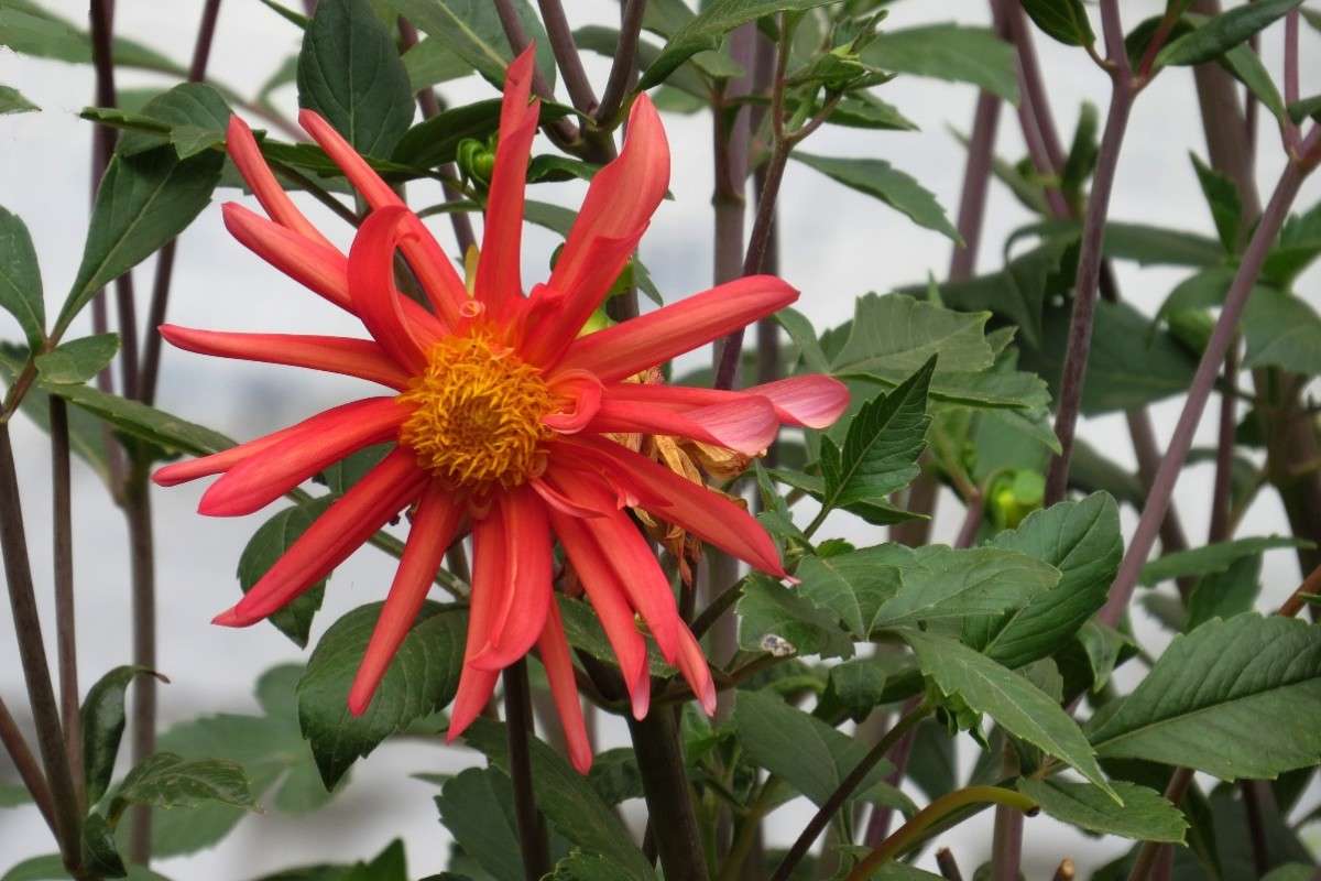 ... ����� Natali  ��������� �� PhotoGeek.ru #������ ��� ������� #����� ��������������