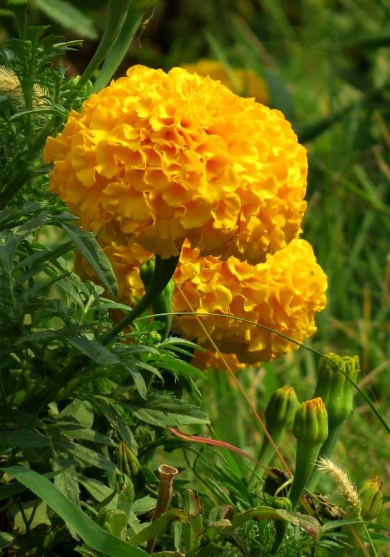 ... ����� Natali  ��������� �� PhotoGeek.ru #������ ��� ������� #����� ��������������