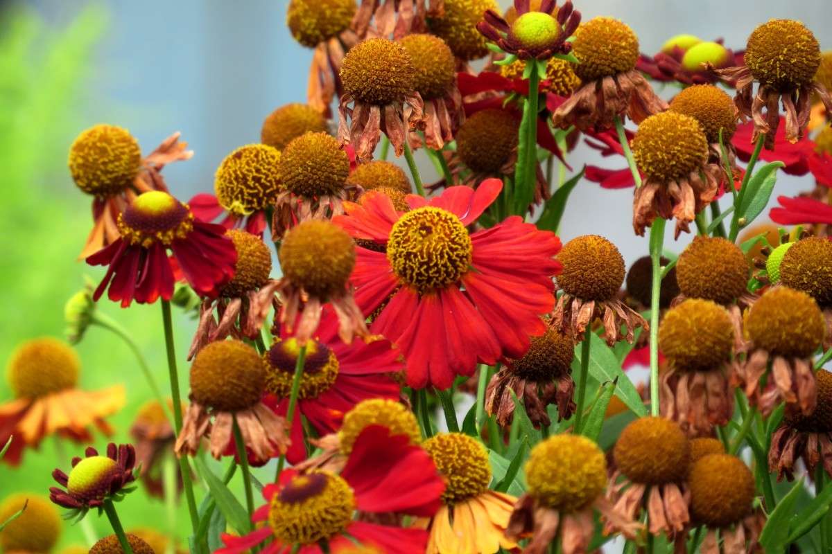 ... ����� Natali  ��������� �� PhotoGeek.ru #������ ��� ������� #����� ��������������