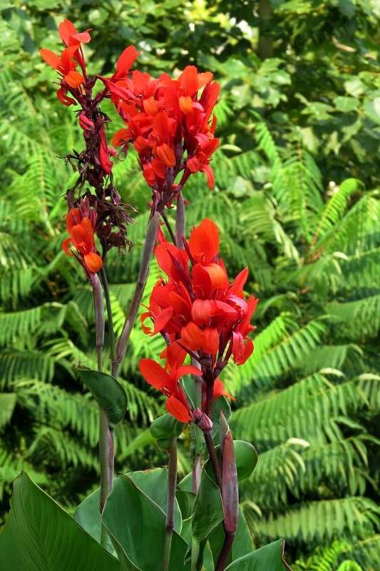 ... ����� Natali  ��������� �� PhotoGeek.ru #������ ��� ������� #����� ��������������