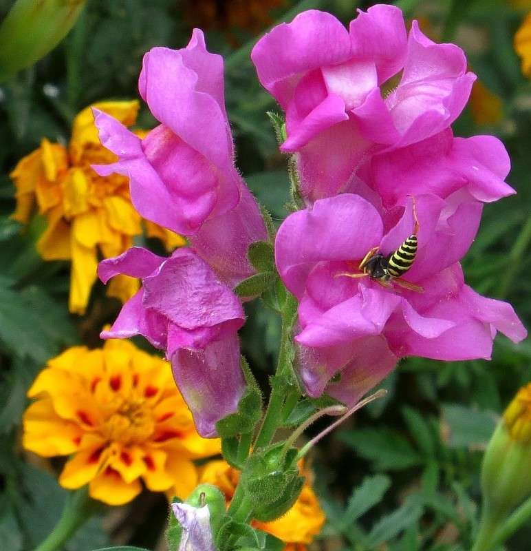 ... ����� Natali  ��������� �� PhotoGeek.ru #������ ��� ������� #����� ��������������