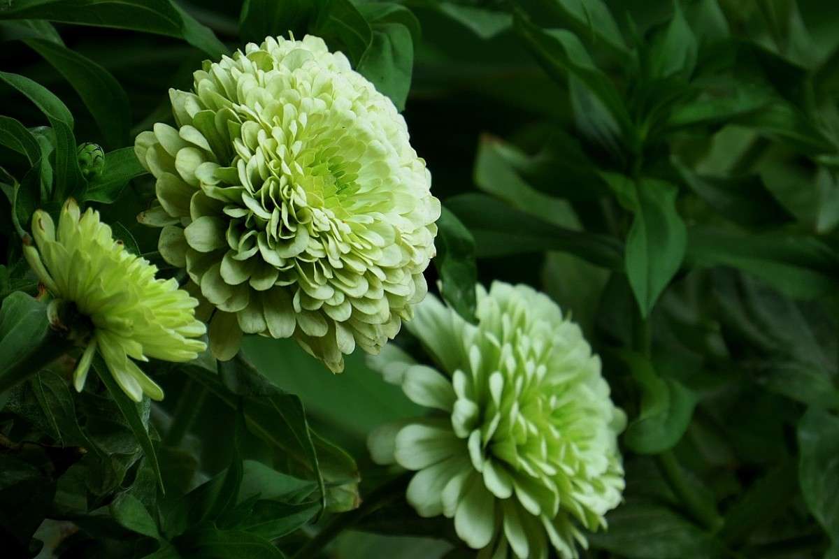 � ������ ������� .... ����� Natali  ��������� �� PhotoGeek.ru #������ ��� ������� #����� ��������������