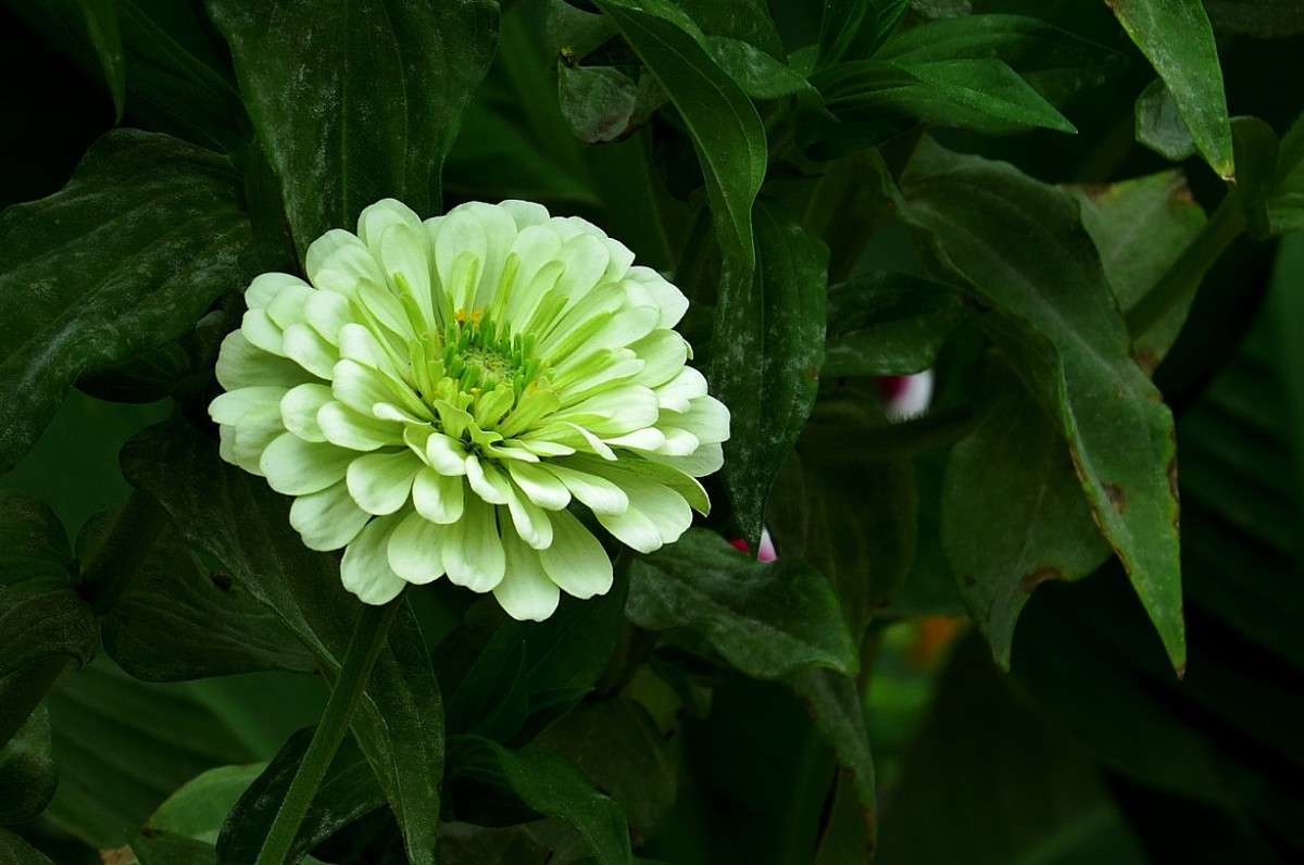 � ������ ������� ....2 ����� Natali  ��������� �� PhotoGeek.ru #������ ��� ������� #����� ��������������