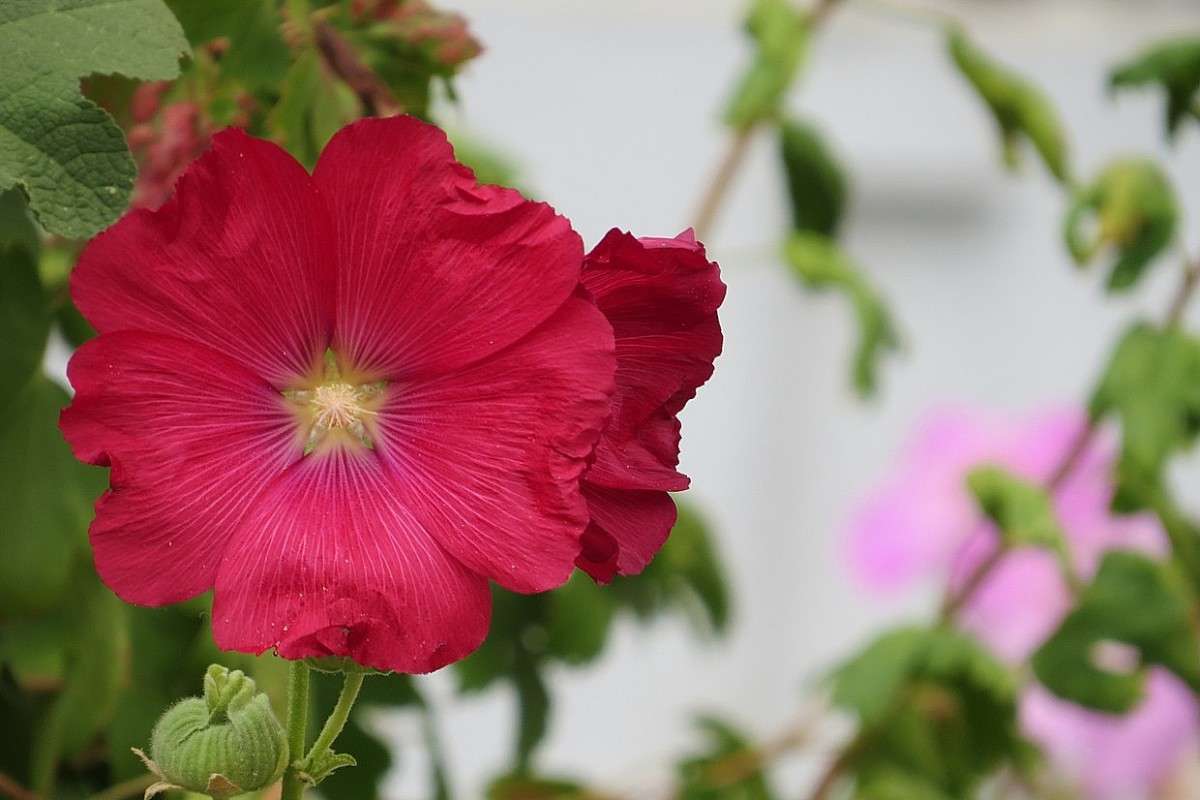 ... ����� Natali  ��������� �� PhotoGeek.ru #������ ��� ������� #����� ��������������