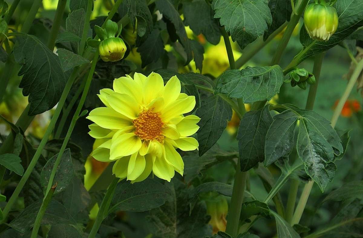 ���������� ))) ����� Natali  ��������� �� PhotoGeek.ru #������ ��� ������� #����� ��������������