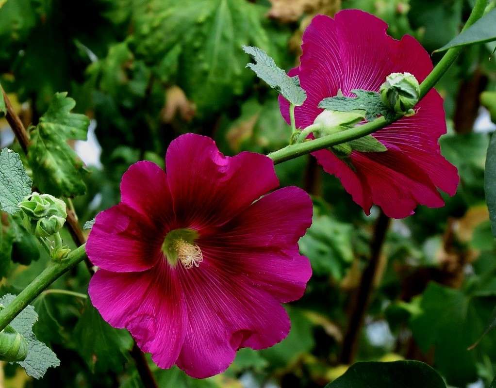 ... ����� Natali  ��������� �� PhotoGeek.ru #������ ��� ������� #����� ��������������