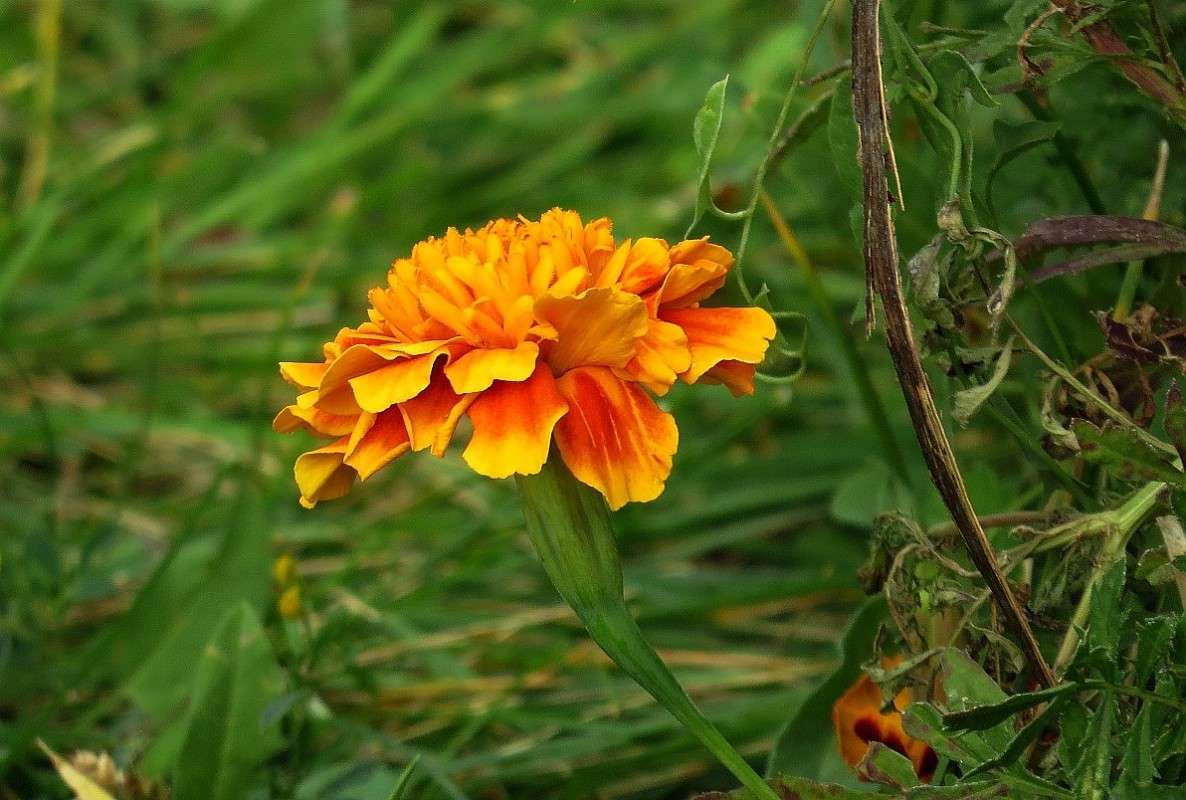 ��� ���������  �������� ) ����� Natali  ��������� �� PhotoGeek.ru #������ ��� ������� #����� ��������������