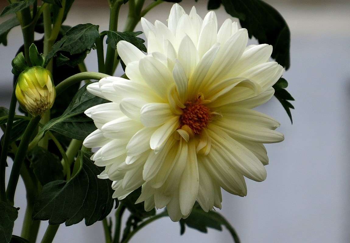 * ����� Natali  ��������� �� PhotoGeek.ru #������ ��� ������� #����� ��������������