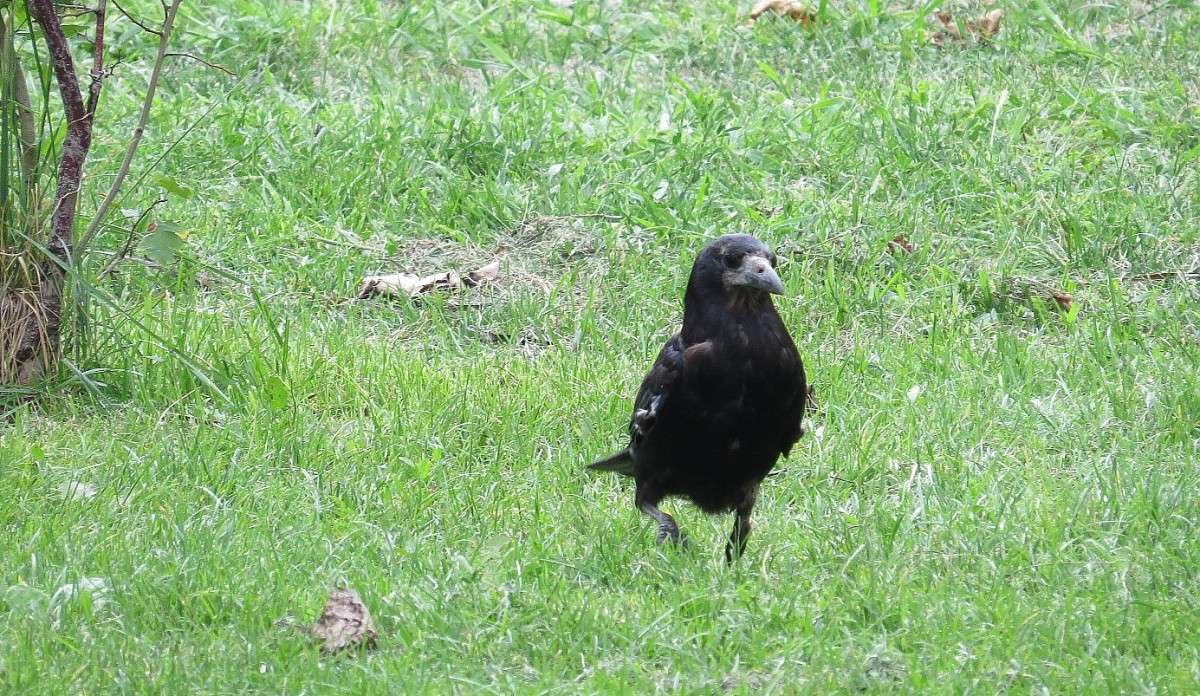 ����� ����� ) ����� Natali  ��������� �� PhotoGeek.ru #�������� ��� #����� ��� ��� ���������