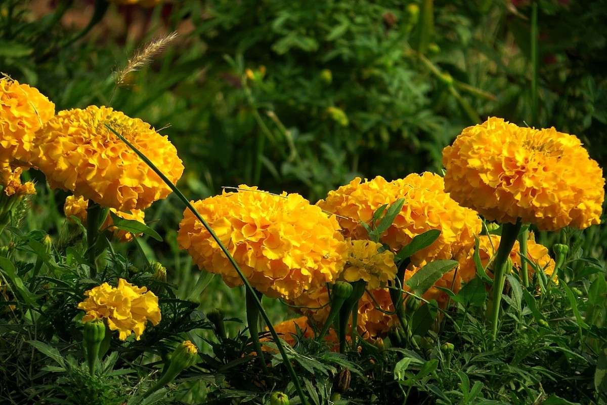 ... ����� Natali  ��������� �� PhotoGeek.ru #������ ��� ������� #����� ��������������