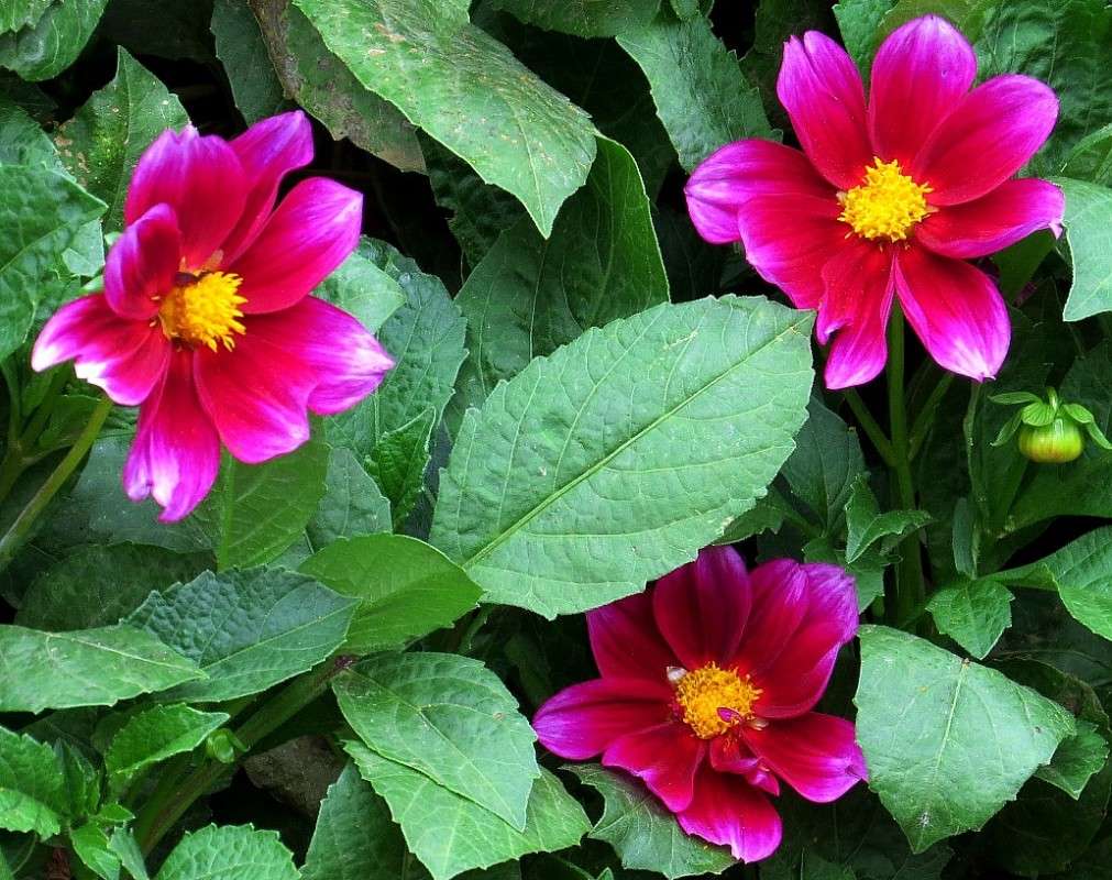 ... ����� Natali  ��������� �� PhotoGeek.ru #������ ��� ������� #����� ��������������