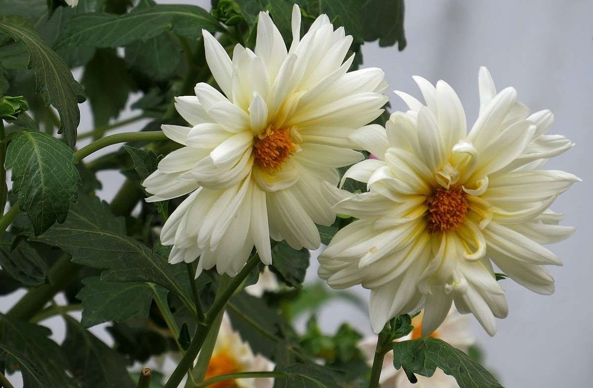 ... ����� Natali  ��������� �� PhotoGeek.ru #������ ��� ������� #����� ��������������