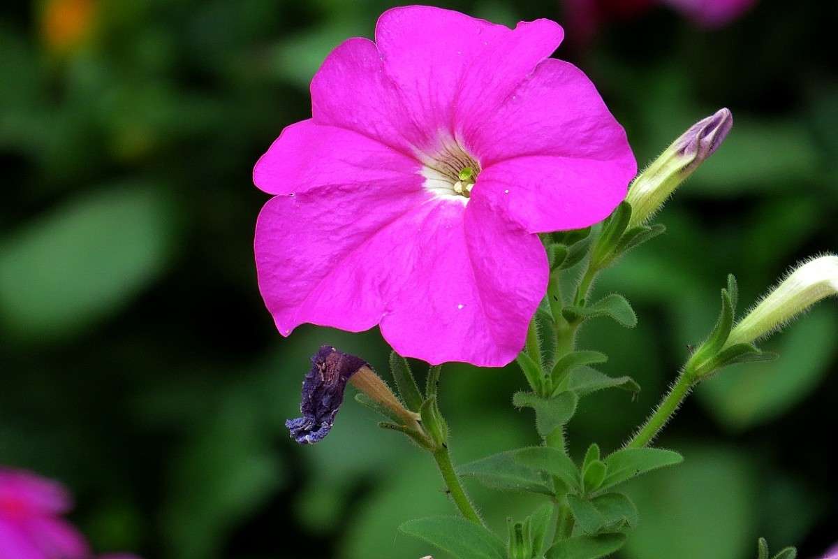 ... ����� Natali  ��������� �� PhotoGeek.ru #������ ��� ������� #����� ��������������