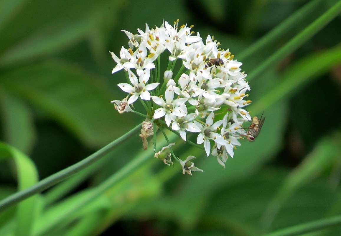 ... ����� Natali  ��������� �� PhotoGeek.ru #������ ��� ������� #����� ��������������