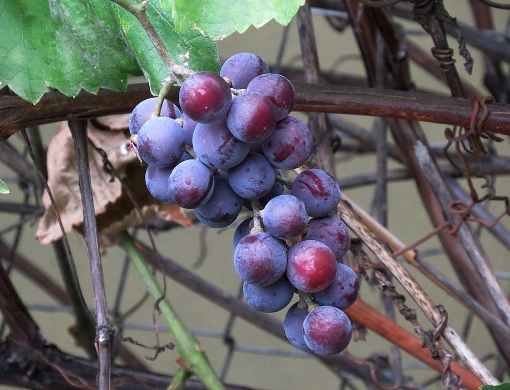 ... ����� Natali  ��������� �� PhotoGeek.ru #������ ��� ������� #����� ��������������