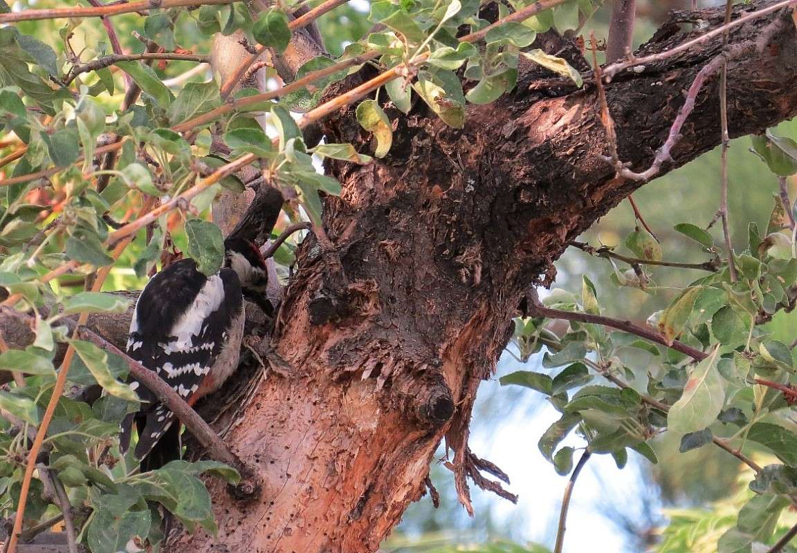 ������ �� ������� ... ) ����� Natali  ��������� �� PhotoGeek.ru #�������� ��� #����� ��� ��� ���������