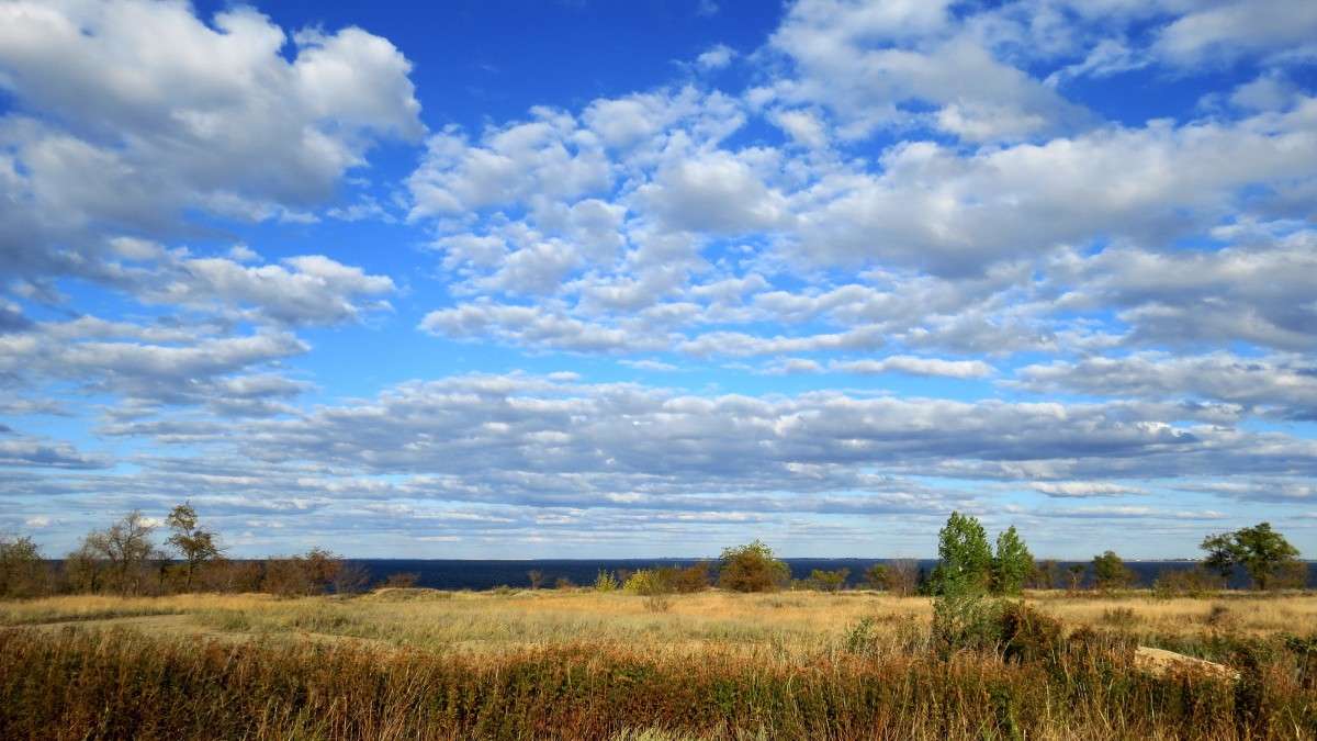 ��������. �� ���� ����� ..... ) ����� Natali  ��������� �� PhotoGeek.ru #������ ��� ������� #����� ��������������