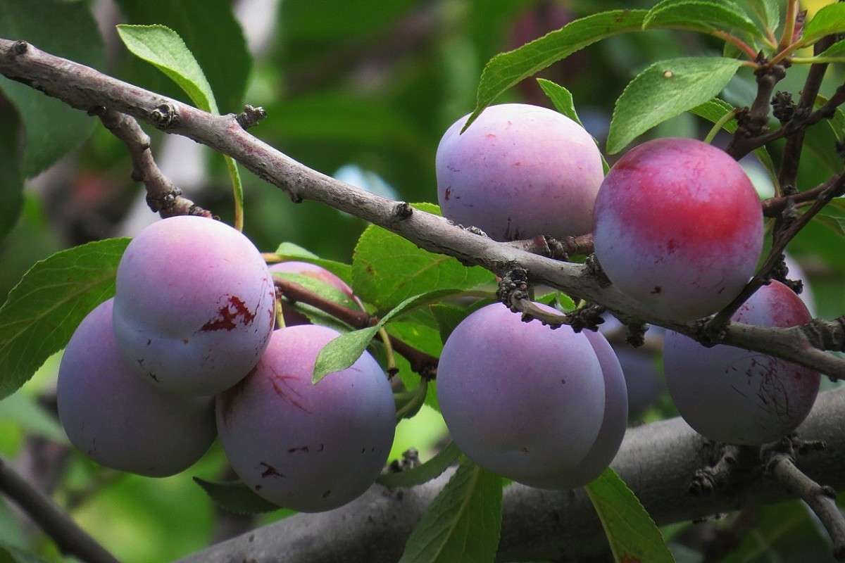 ... ����� Natali  ��������� �� PhotoGeek.ru #������ ��� ������� #����� ��������������