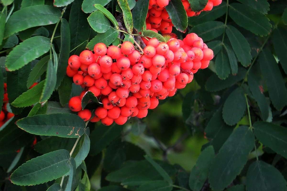 ... ����� Natali  ��������� �� PhotoGeek.ru #������ ��� ������� #����� ��������������