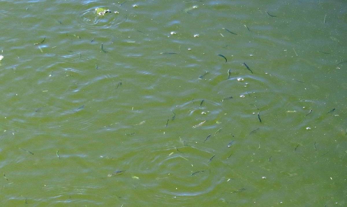 ����� ������ ...) ����� Natali  ��������� �� PhotoGeek.ru #�������� ��� #����� ��� ��� ���������