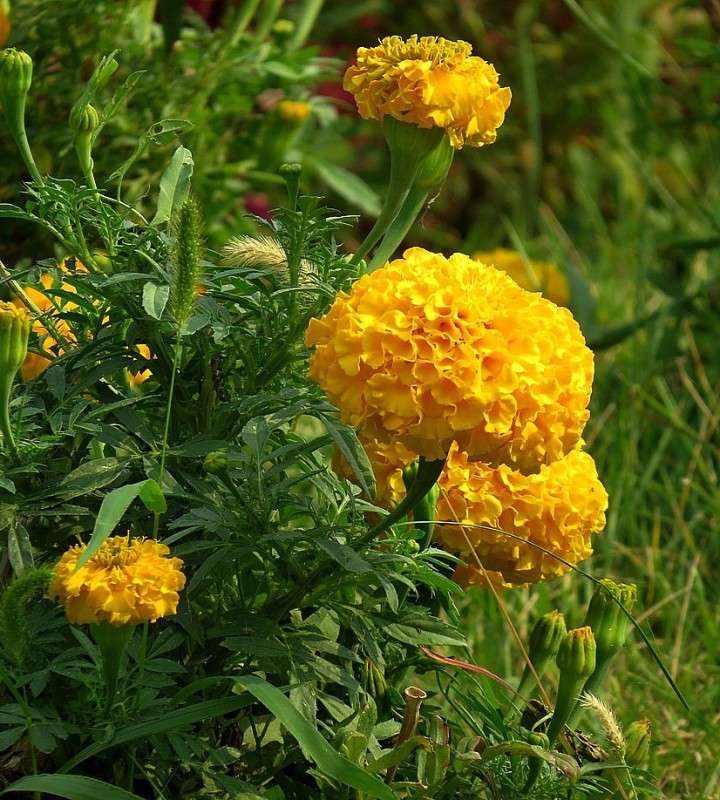 ... ����� Natali  ��������� �� PhotoGeek.ru #������ ��� ������� #����� ��������������