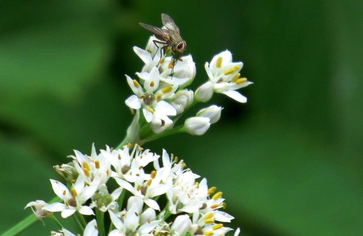 ... ����� Natali  ��������� �� PhotoGeek.ru #������ ��� ������� #����� ��������������