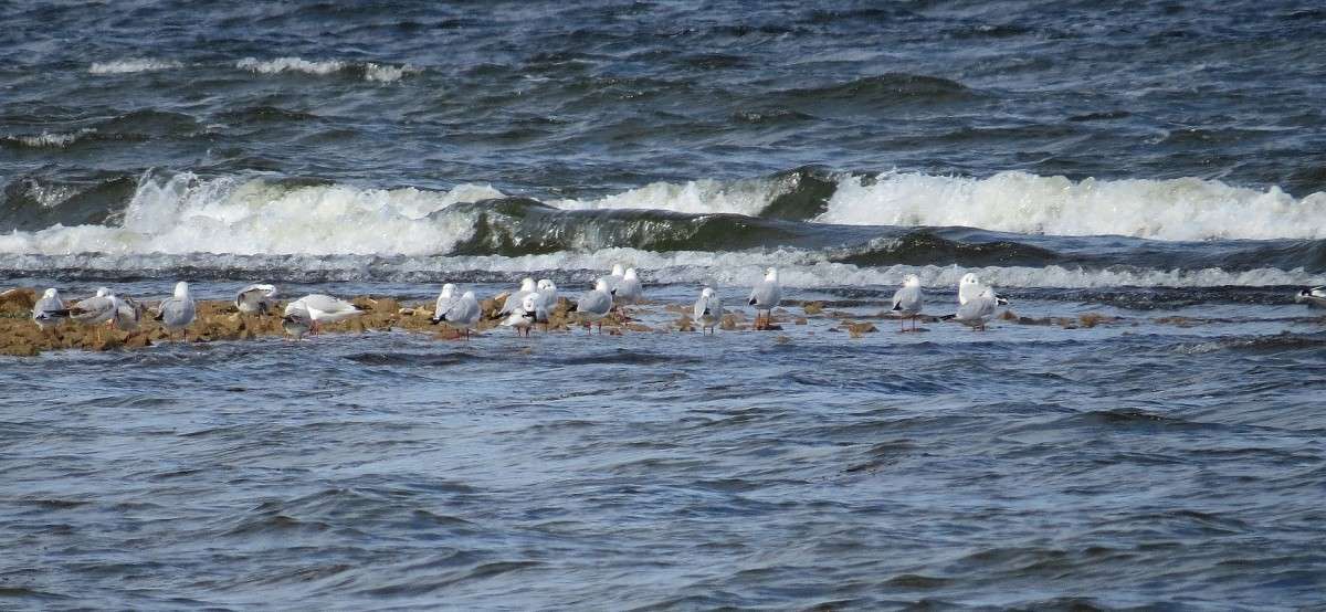 ����� � ����� .....) ����� Natali  ��������� �� PhotoGeek.ru #�������� ��� #����� ��� ��� ���������