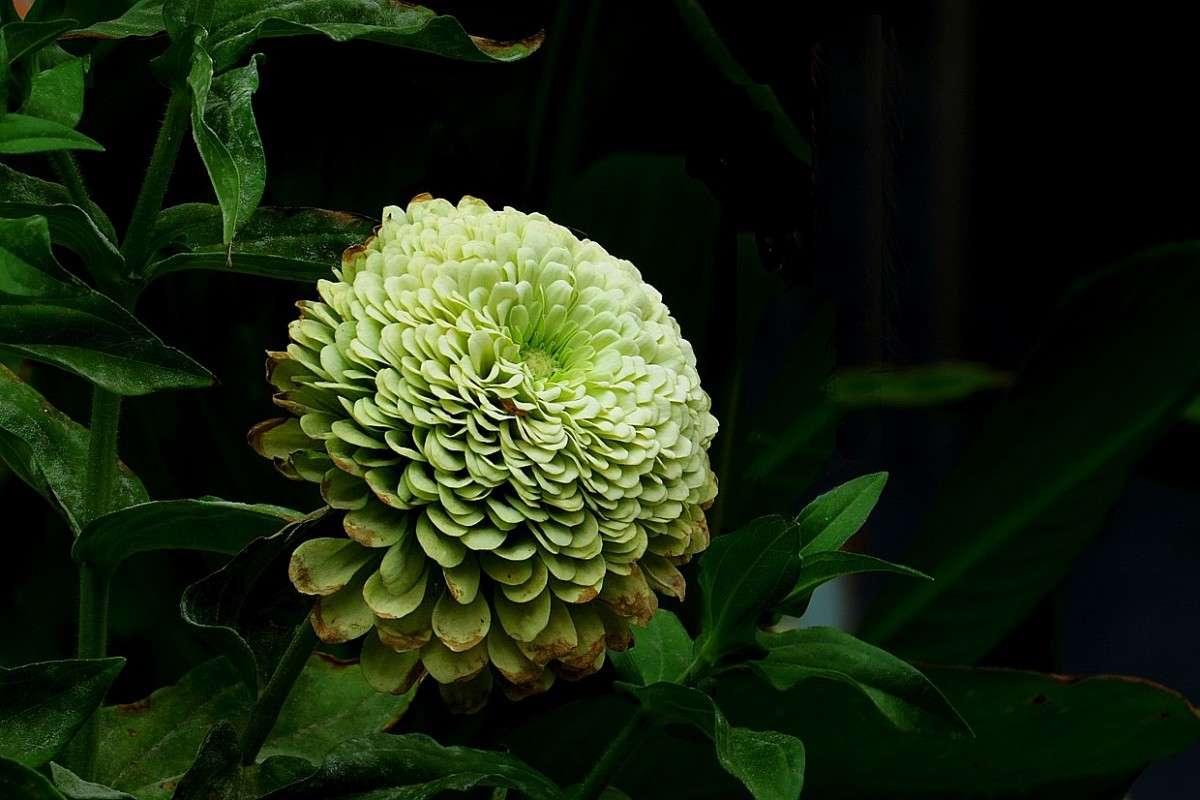 ... ����� Natali  ��������� �� PhotoGeek.ru #������ ��� ������� #����� ��������������