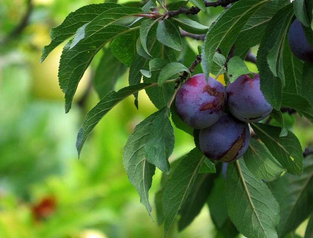 ... ����� Natali  ��������� �� PhotoGeek.ru #������ ��� ������� #����� ��������������