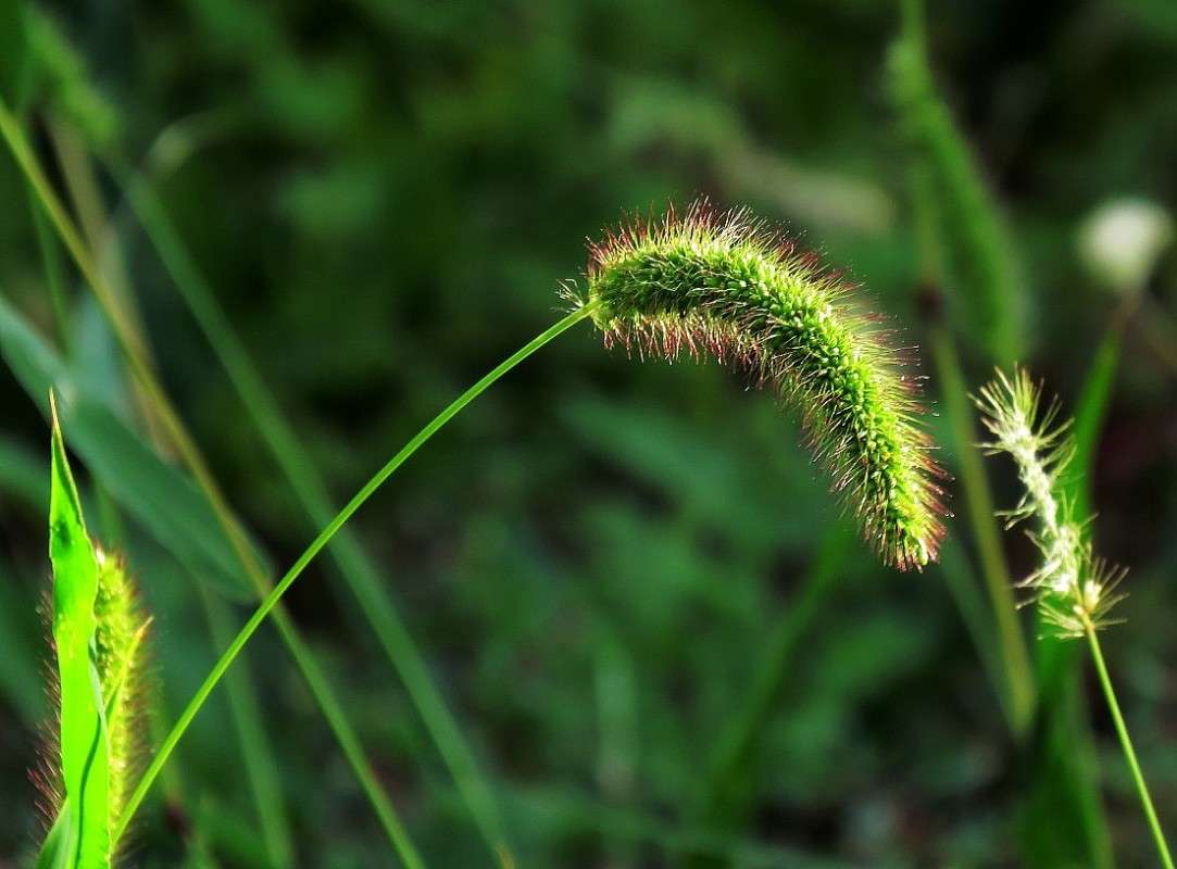 ... ����� Natali  ��������� �� PhotoGeek.ru #������ ��� ������� #����� ��������������