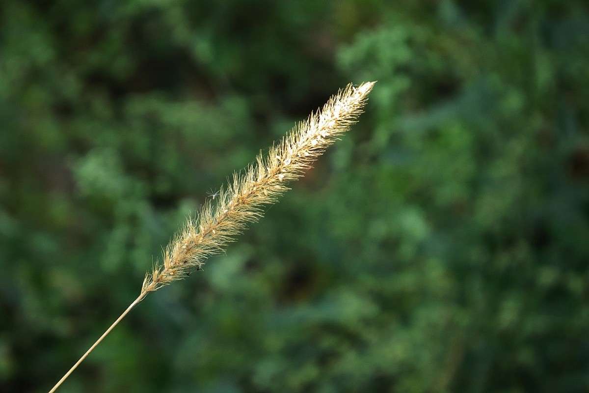 ... ����� Natali  ��������� �� PhotoGeek.ru #������ ��� ������� #����� ��������������