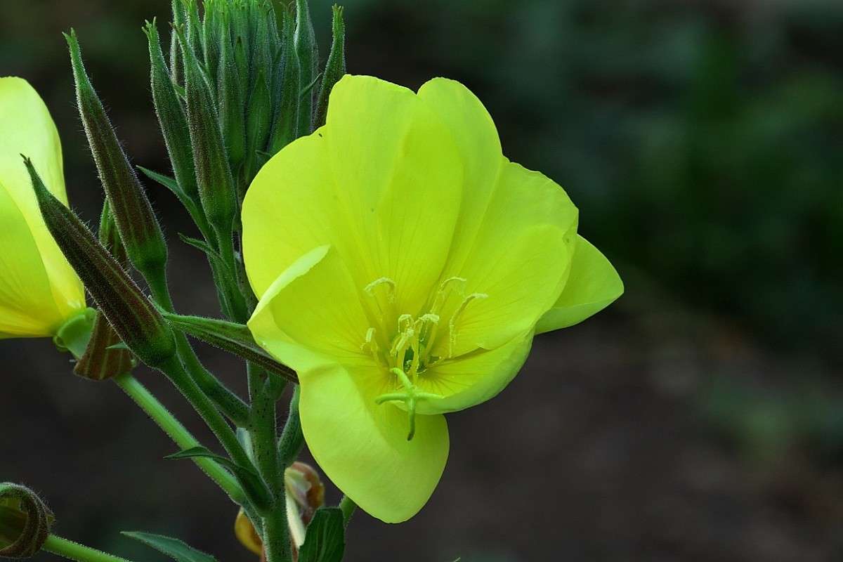 ... ����� Natali  ��������� �� PhotoGeek.ru #������ ��� ������� #����� ��������������