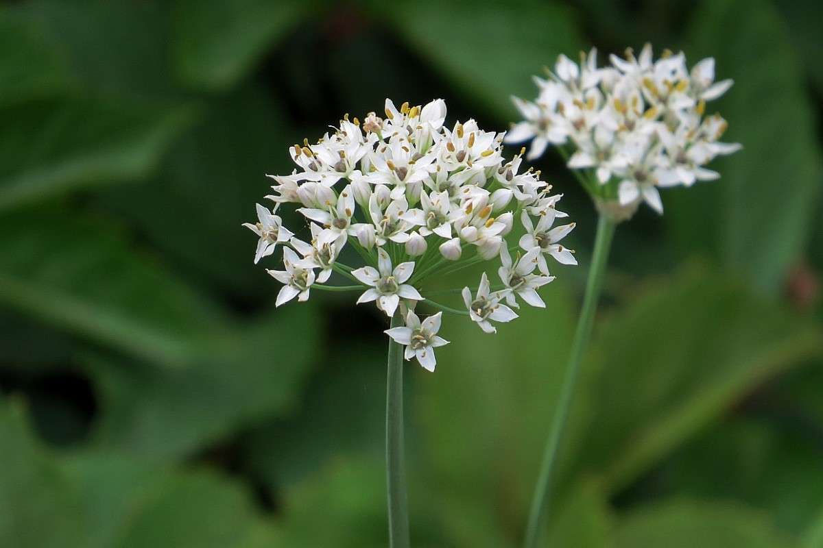 ... ����� Natali  ��������� �� PhotoGeek.ru #������ ��� ������� #����� ��������������