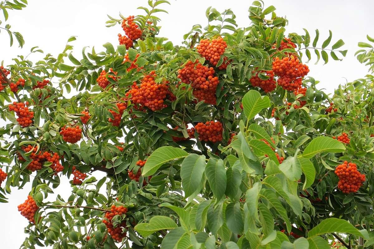 ... ����� Natali  ��������� �� PhotoGeek.ru #������ ��� ������� #����� ��������������