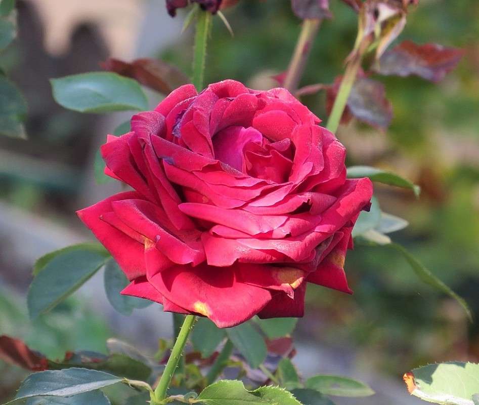 ������� ��� 5 ����� Natali  ��������� �� PhotoGeek.ru #������ ��� ������� #����� ��������������