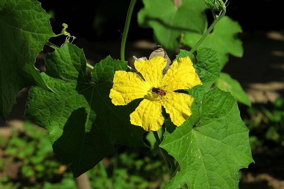 ����� ����� Natali  ��������� �� PhotoGeek.ru #������ ��� ������� #����� ��������������