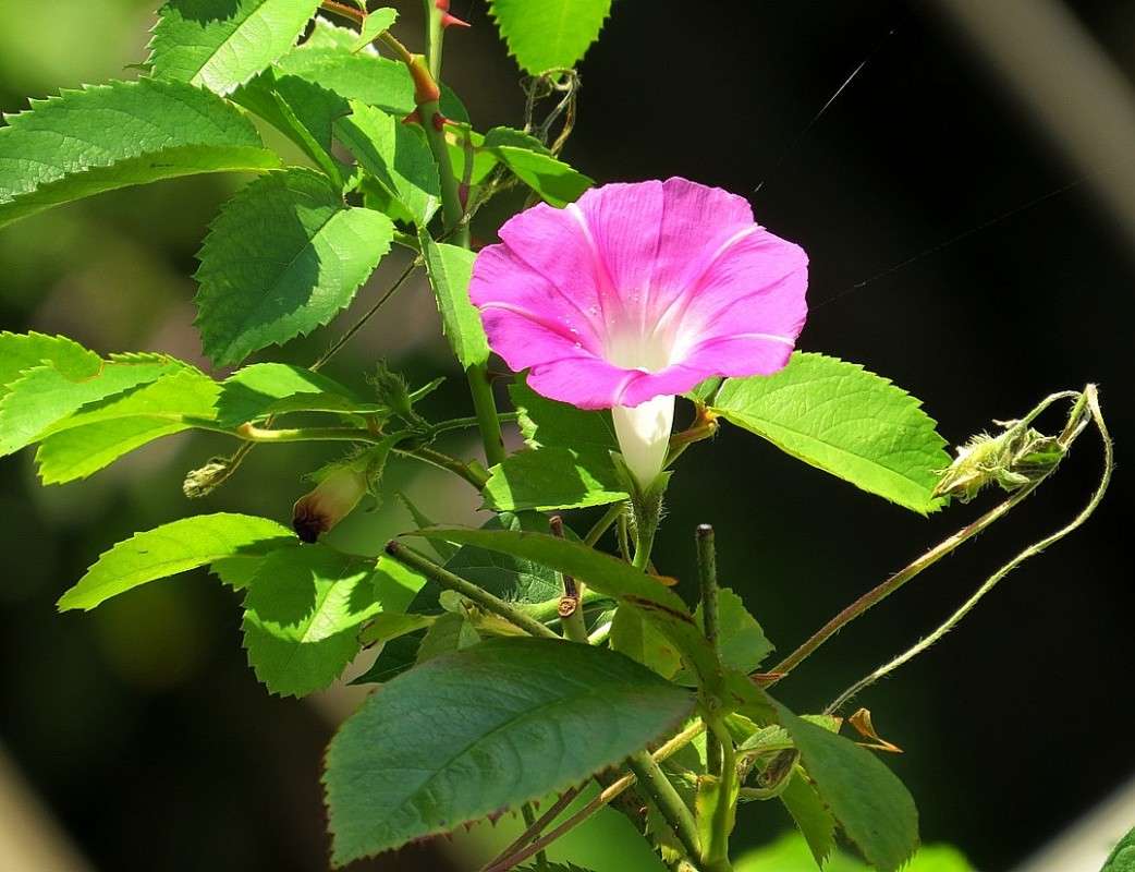 ... ����� Natali  ��������� �� PhotoGeek.ru #������ ��� ������� #����� ��������������