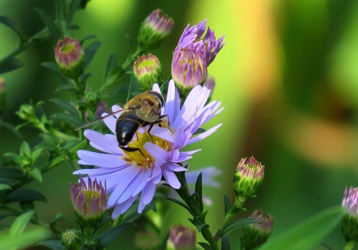 ... ����� Natali  ��������� �� PhotoGeek.ru #������ ��� ������� #����� ��������������