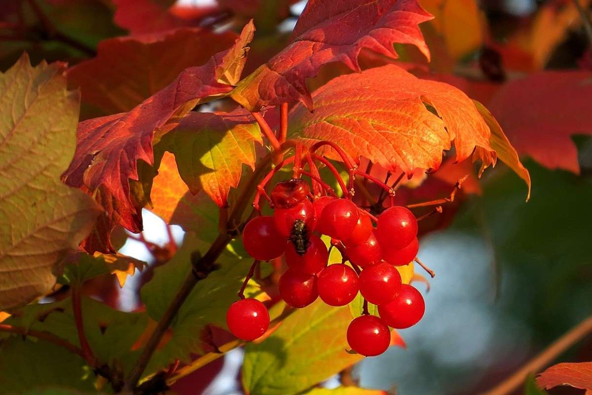 ... ����� Natali  ��������� �� PhotoGeek.ru #������ ��� ������� #����� ��������������