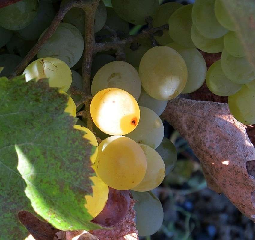 ... ����� Natali  ��������� �� PhotoGeek.ru #������ ��� ������� #����� ��������������