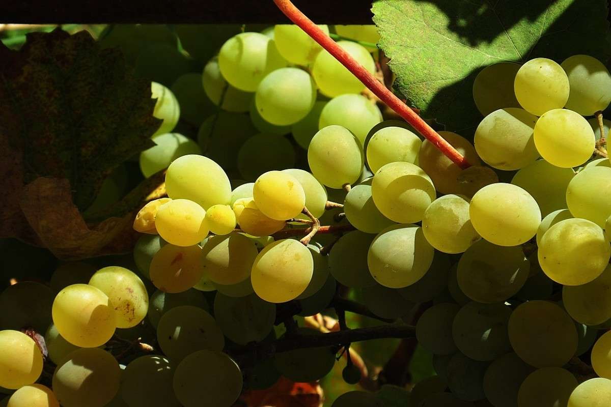 ... ����� Natali  ��������� �� PhotoGeek.ru #������ ��� ������� #����� ��������������