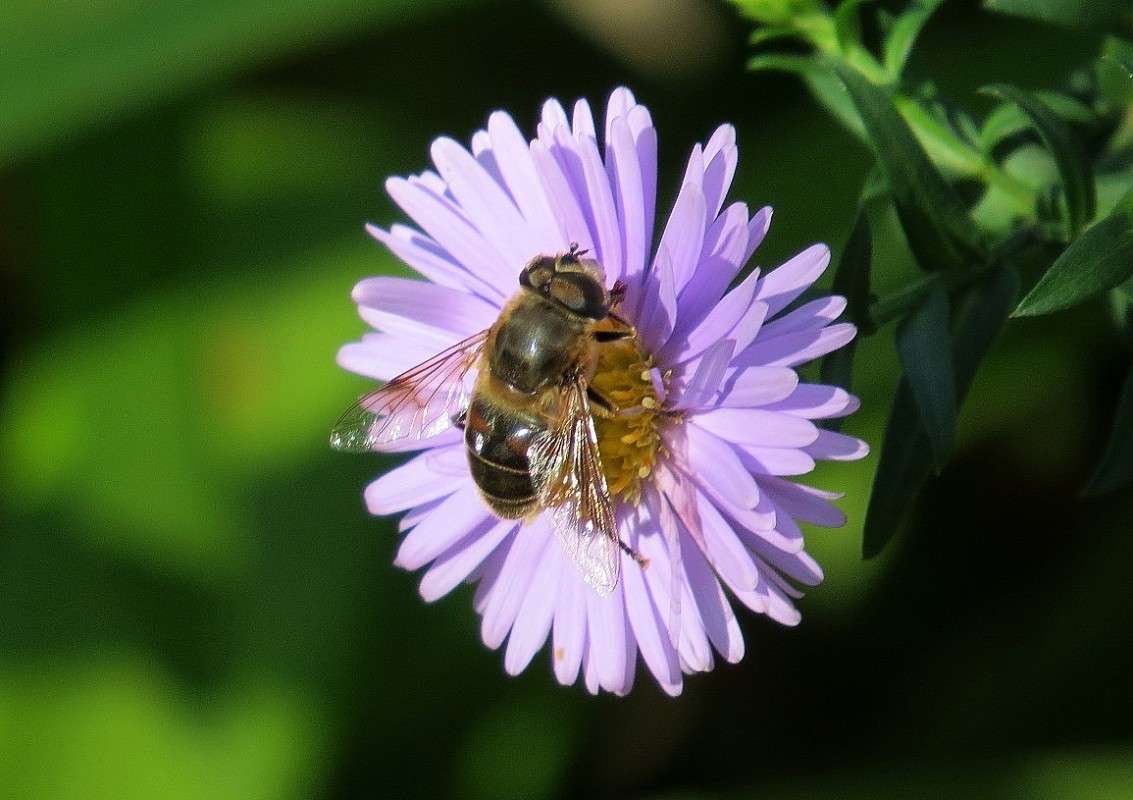 ... ����� Natali  ��������� �� PhotoGeek.ru #������ ��� ������� #����� ��������������