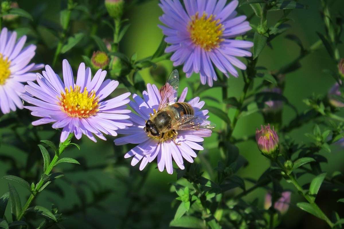 ... ����� Natali  ��������� �� PhotoGeek.ru #������ ��� ������� #����� ��������������