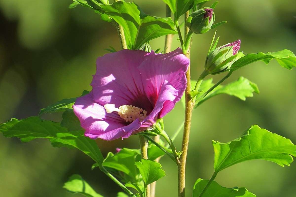 ... ����� Natali  ��������� �� PhotoGeek.ru #������ ��� ������� #����� ��������������