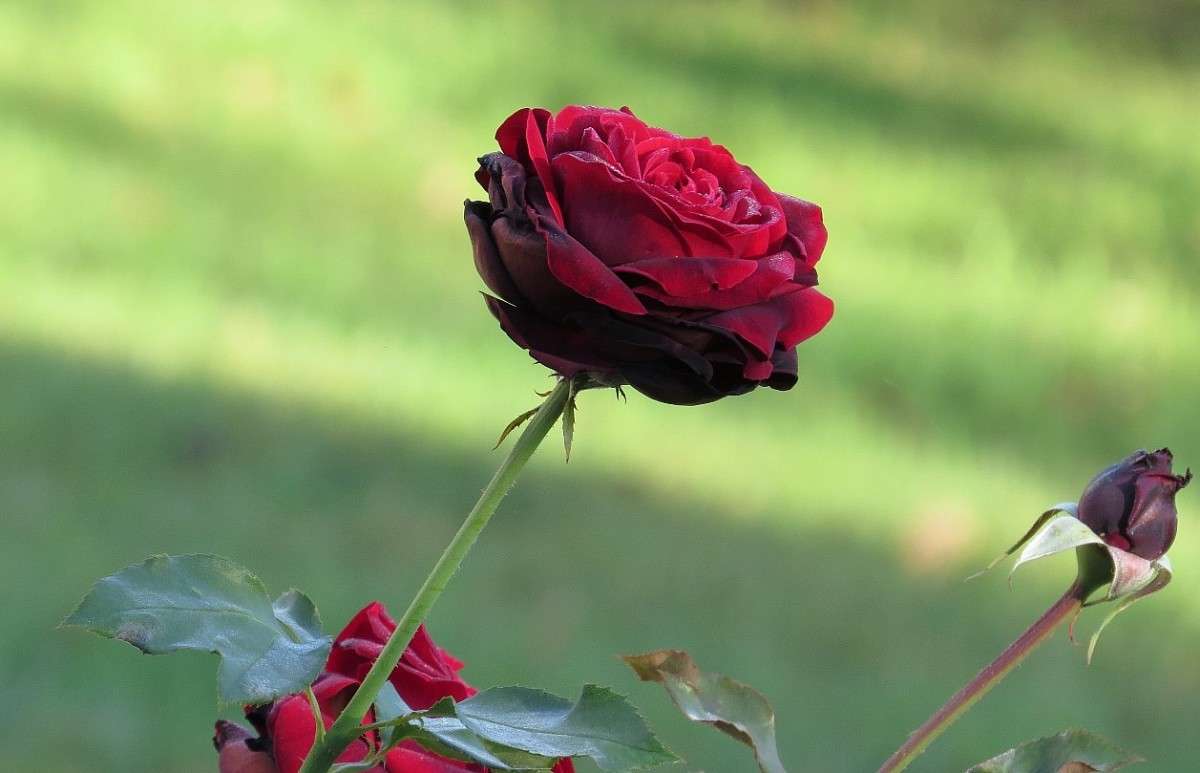 ... ����� Natali  ��������� �� PhotoGeek.ru #������ ��� ������� #����� ��������������